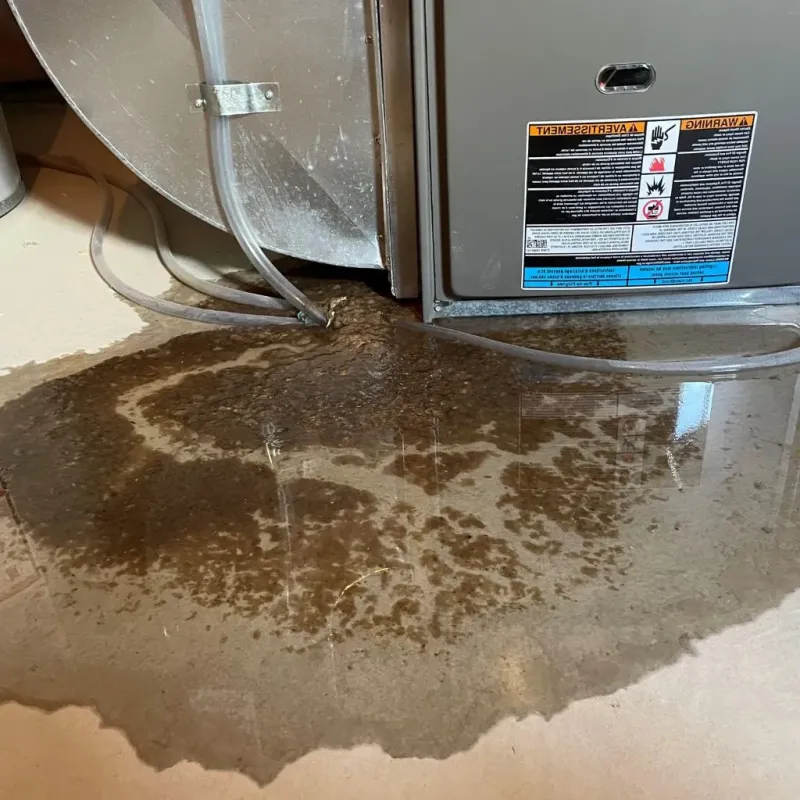 Pipe Burst and Leak Restoration in Westchester County, NY